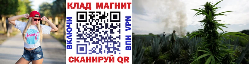 Что такое Кулебаки Псилоцибиновые грибы  Бошки Шишки  Меф  Alpha PVP  кракен рабочий сайт  КОКАИН  ГАШИШ 