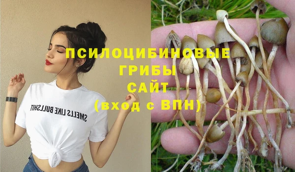 кокаин Алексеевка