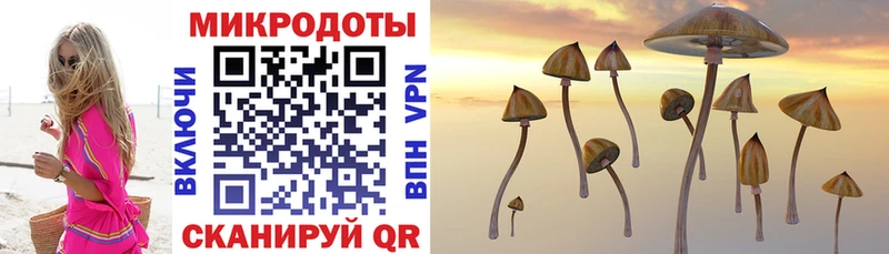 Псилоцибиновые грибы прущие грибы  Кулебаки 